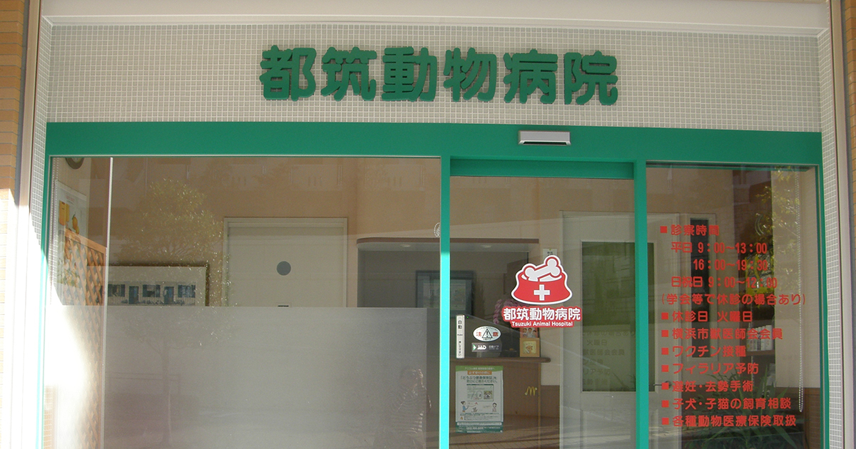 抱くと痛がる Part 1 都筑動物病院